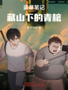盗墓笔记:藏山下的青棺在线阅读