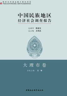 中國民族地區(qū)經(jīng)濟(jì)社會調(diào)查報告·大理市卷