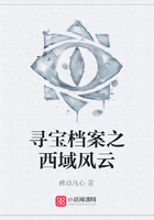 尋寶檔案之西域風云在線閱讀