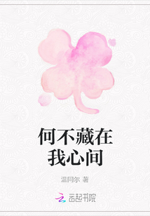 何不藏在我心間