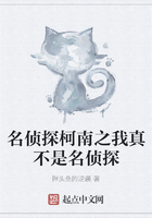 名偵探柯南之我真不是名偵探在線閱讀