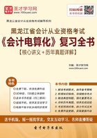 黑龙江省会计从业资格考试《会计电算化》复习全书【核心讲义＋历年真题详解】