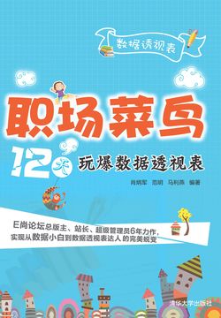 职场菜鸟12天玩爆数据透视表 封面