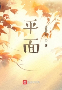 平面