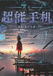 偽裝系統