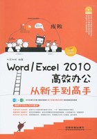 Word／Excel 2010高效办公从新手到高手（图解视频版）