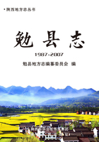 勉县志：1987-2007