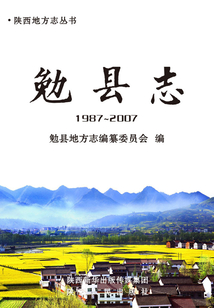 勉縣志：1987-2007