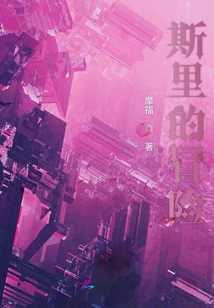 斯里的冒險