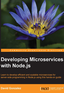 Developing Microservices with Node.js