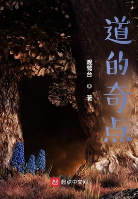 道的奇点在线阅读