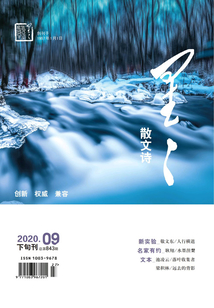 星星·散文詩（2020年第9期）