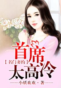 名門妻約，總裁老公太高冷