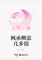 楓承柳意幾多情在線閱讀