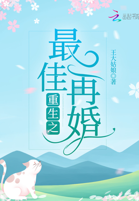 重生之最佳再婚在线阅读