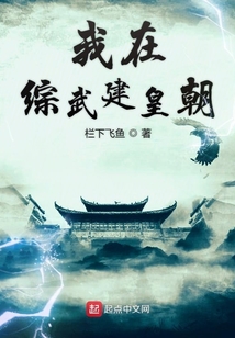 我在綜武建皇朝