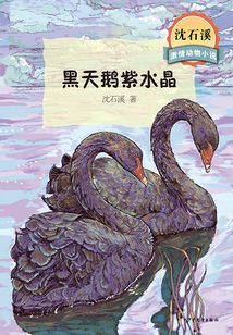 沈石溪激情动物小说·黑天鹅紫水晶