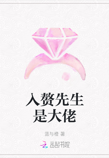 入贅先生是大佬