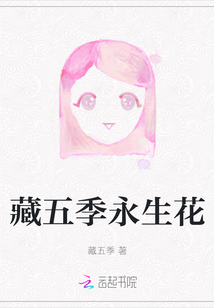 藏五季永生花