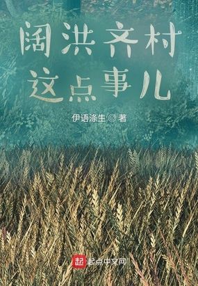 阔洪齐村这点事儿在线阅读