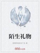 陌生禮物在線閱讀
