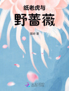 纸老虎与野蔷薇