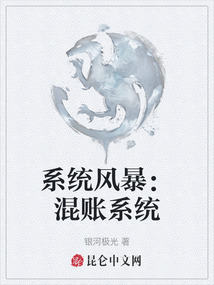 系統風暴：混賬系統