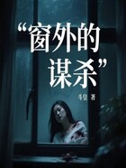 窗外的谋杀在线阅读