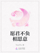 愿君不负相思意在线阅读