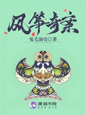 风筝奇案在线阅读