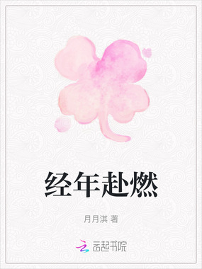 经年赴燃在线阅读