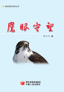 鷹眼守望（桂花香作家叢書）