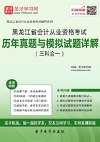 黑龙江省会计从业资格考试历年真题与模拟试题详解（三科合一）在线阅读