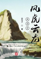 大漢之風(fēng)虎云龍?jiān)诰€閱讀