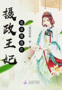 攝政王妃是朵黑蓮花