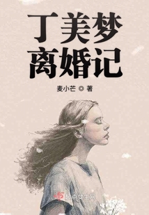丁美夢離婚記