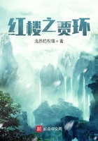 紅樓之賈環在線閱讀