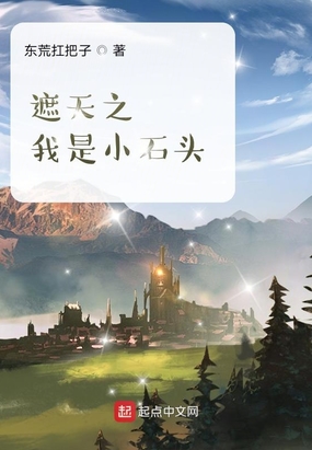遮天之我是小石头在线阅读