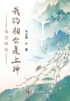 福宝降临:我的相公是上神