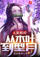 无限模拟：从木叶到型月在线阅读