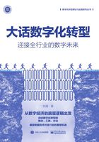 大话数字化转型：迎接全行业的数字未来在线阅读