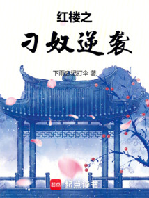紅樓之刁奴逆襲