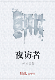 夜访者