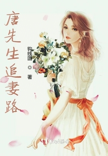 唐先生追妻路