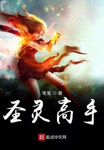 圣靈高手