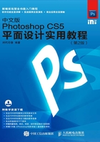 中文版Photoshop CS5平面设计实用教程（第2版）