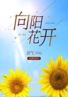 向阳花开在线阅读