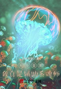 天斗皇家：我真是輔助系魂師