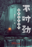 我的冒险游戏不对劲