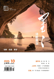 星星·詩(shī)歌原創(chuàng)（2020年第10期）